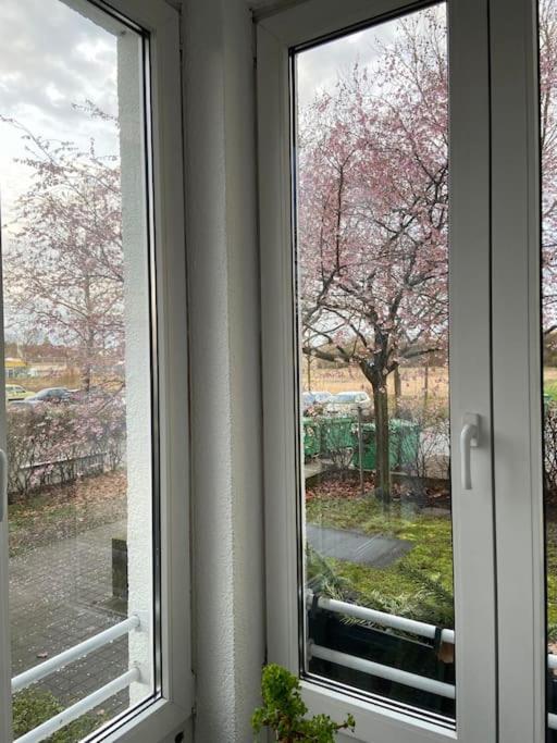Apartment Nahe Airport Ber/ Adlershof *