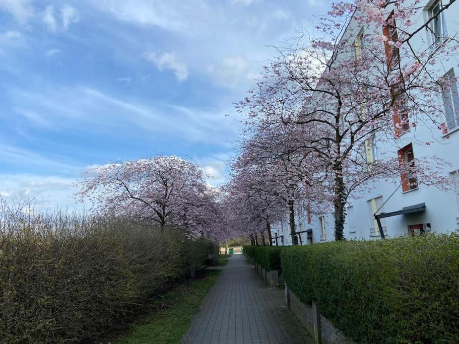 Nahe Airport Ber/ Adlershof