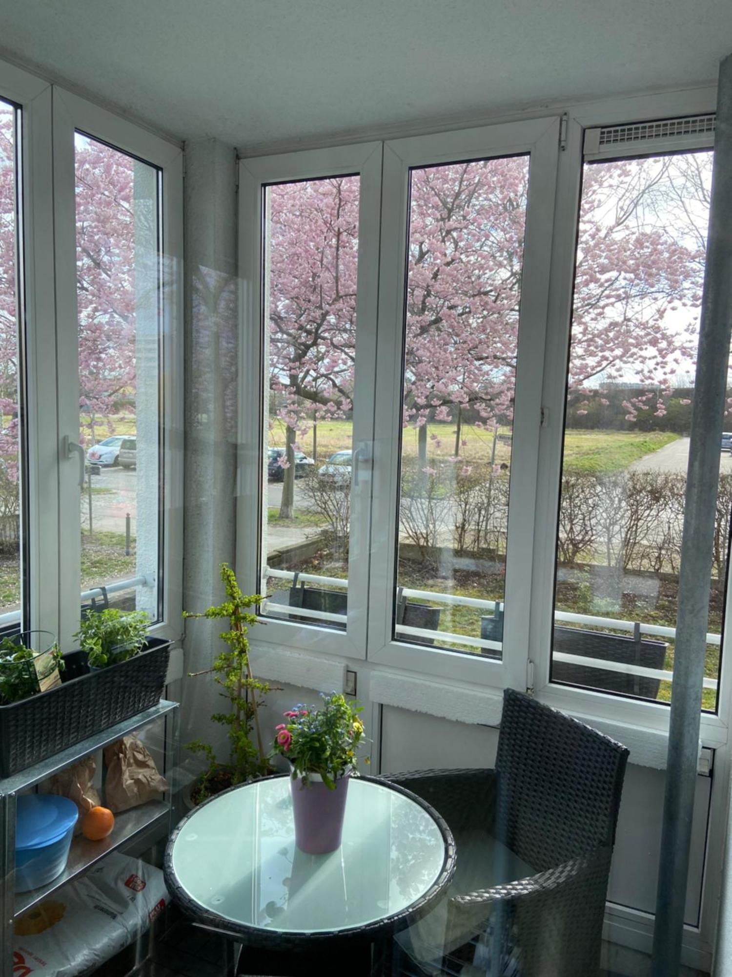 Nahe Airport Ber/ Adlershof Apartment Schoenefeld