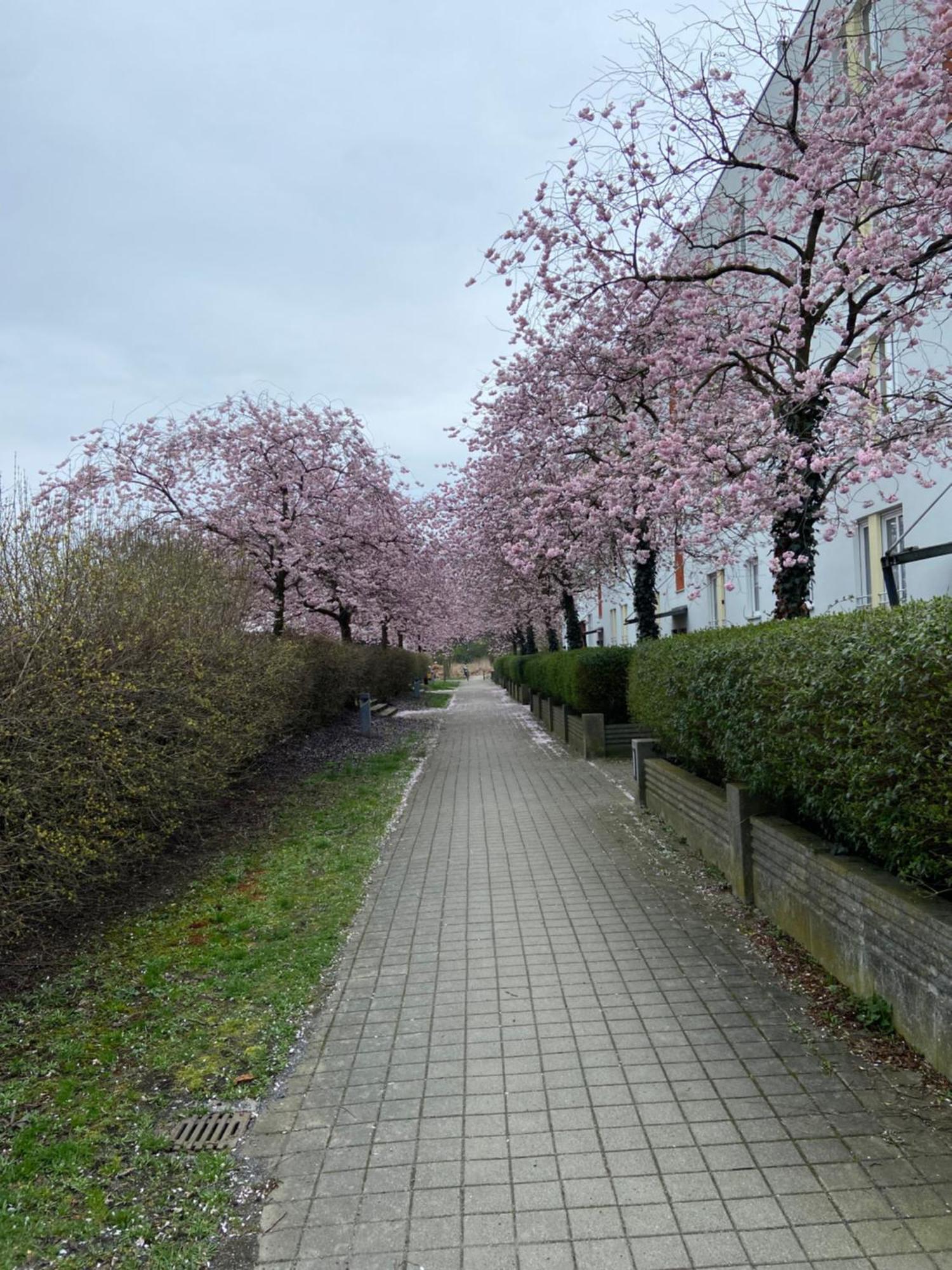 Nahe Airport Ber/ Adlershof *